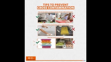 Celebrating World Food Safety Day - Tips to Prevent Cross-Contamination