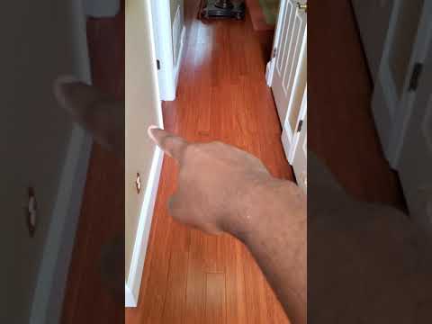 The wax removal from laminate flooring