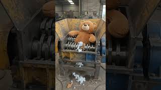 Shredding a Teddy Bear (Stuffing Everywhere) 😳#shorts #viral