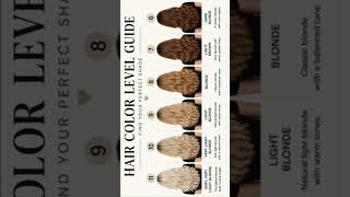 hair  color level guide