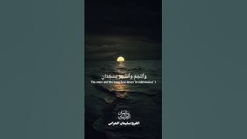 تلاوة من سورة الرحمن #القرآن_الكريم #اكسبلور #fypシ゚viral