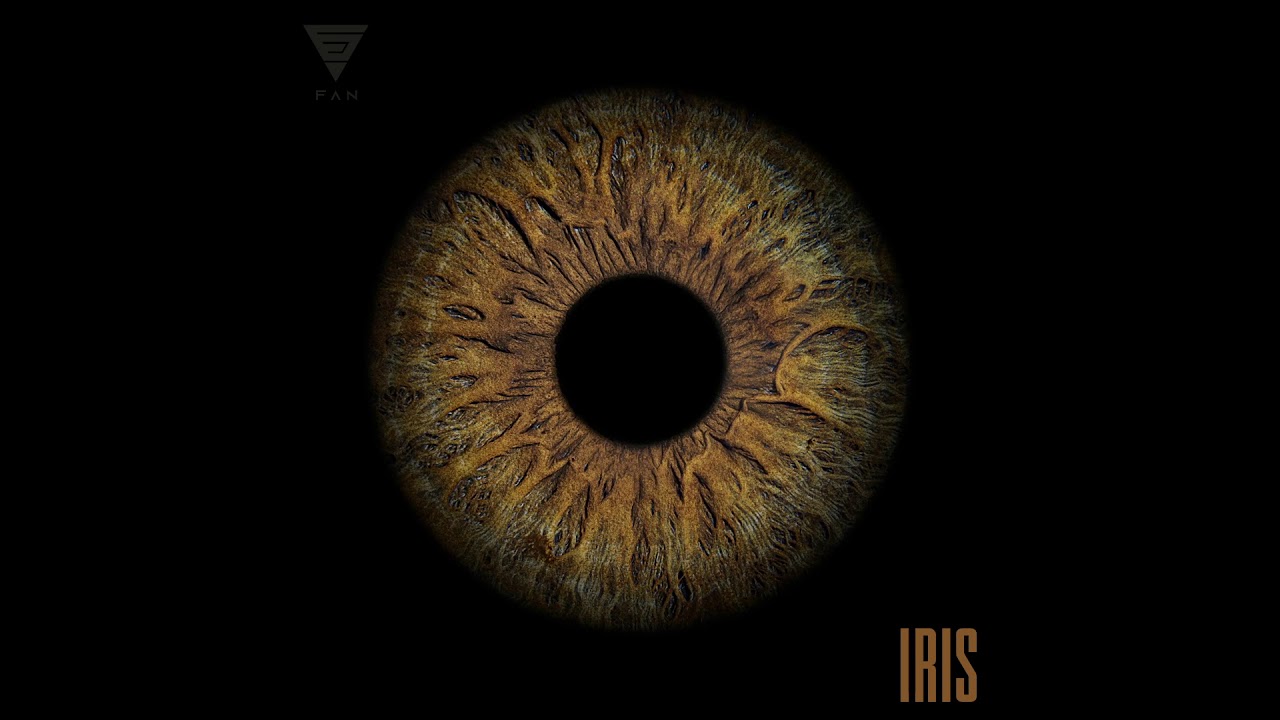 FAN - Iris bekijken op YouTube FAN - Iris bekijken op YouTube