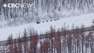 Canadian Challenge: Sask.'s biggest sled dog race unravels stories under the snow