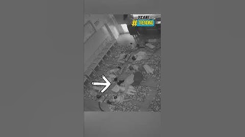 Nghe tin học sinh sắp chuyển trường cô giáo mầm non có hành động gây xúc động #Y1News