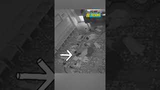 Nghe Tin Học Sinh Sắp Chuyển Trường Cô Giáo Mầm Non Có Hành Động Gây Xúc Động