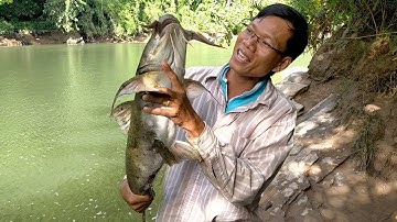 Thủy quái cá chiên sông Đồng Nai đầu mùa mưa