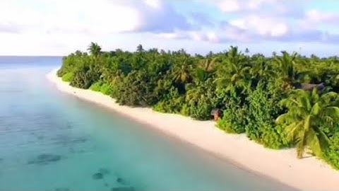 القران الكريم سورة السجدة تلاوة خاشعة