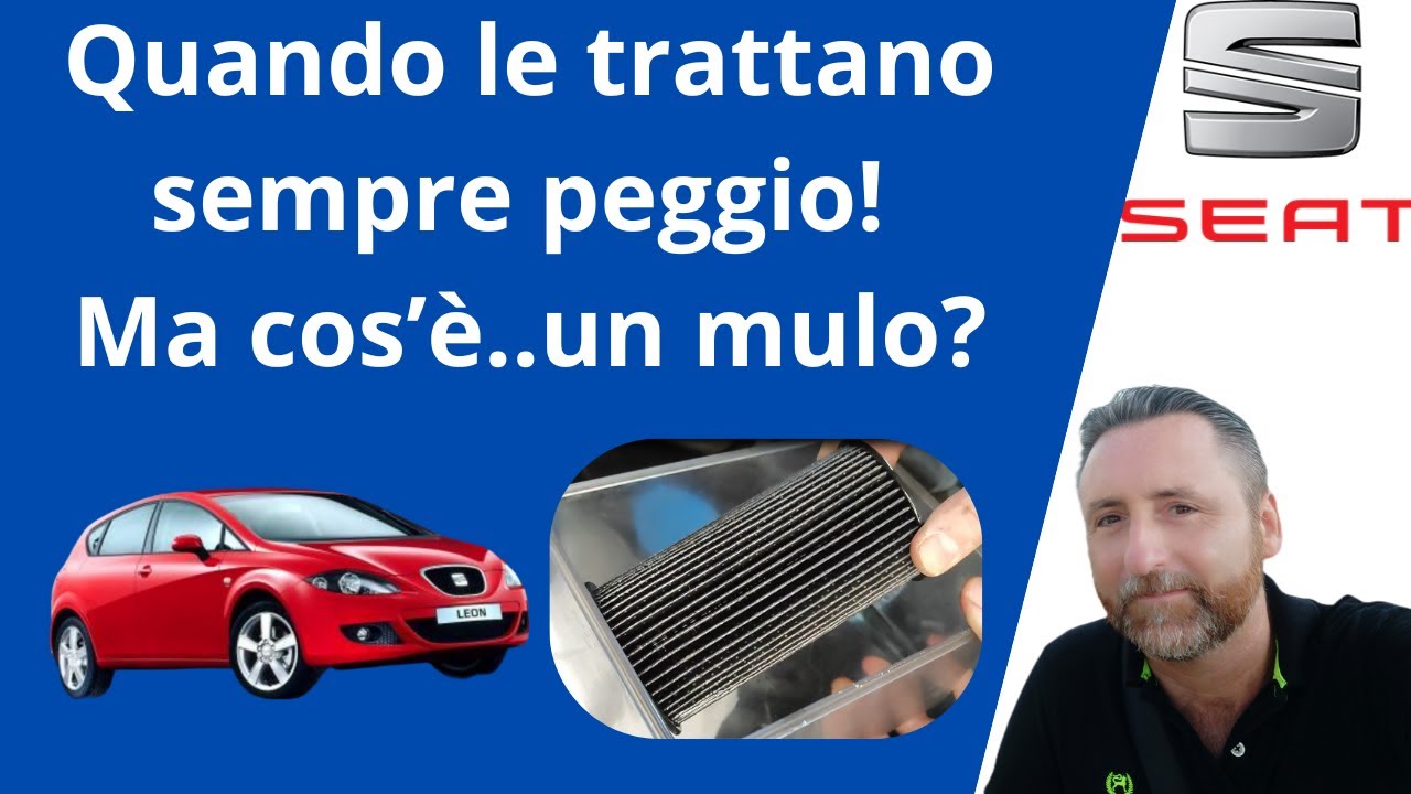 Seat Leon 2.0 TDI FR Tagliando, freni posteriori e reset servizi (TUTORIAL)