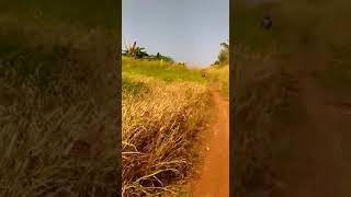 Track Jalur Jatiasih ( JJ ) , bekasi , jawa barat