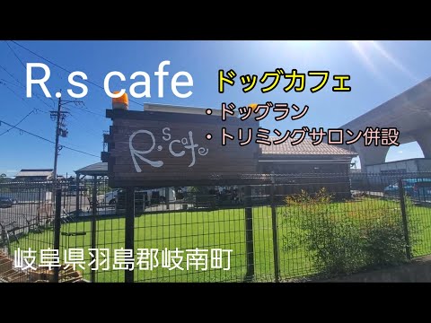 R S Cafe アールズカフェ ドッグカフェ ドッグラン トリミングサロン 岐阜県羽島郡岐南町の犬と楽しめる場所 Berry トイプードルの子犬 も楽しく過ごせました L Love Berry Youtube