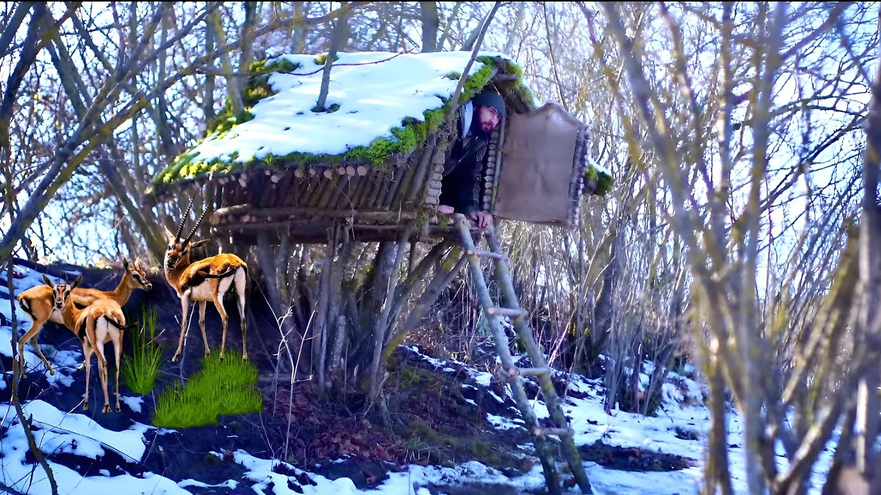 Winter Bushcraft Shelter In Wilderness , Building A Survival Shelter ...