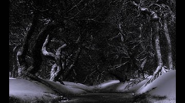 Benge (1975 - Moog Polymoog)