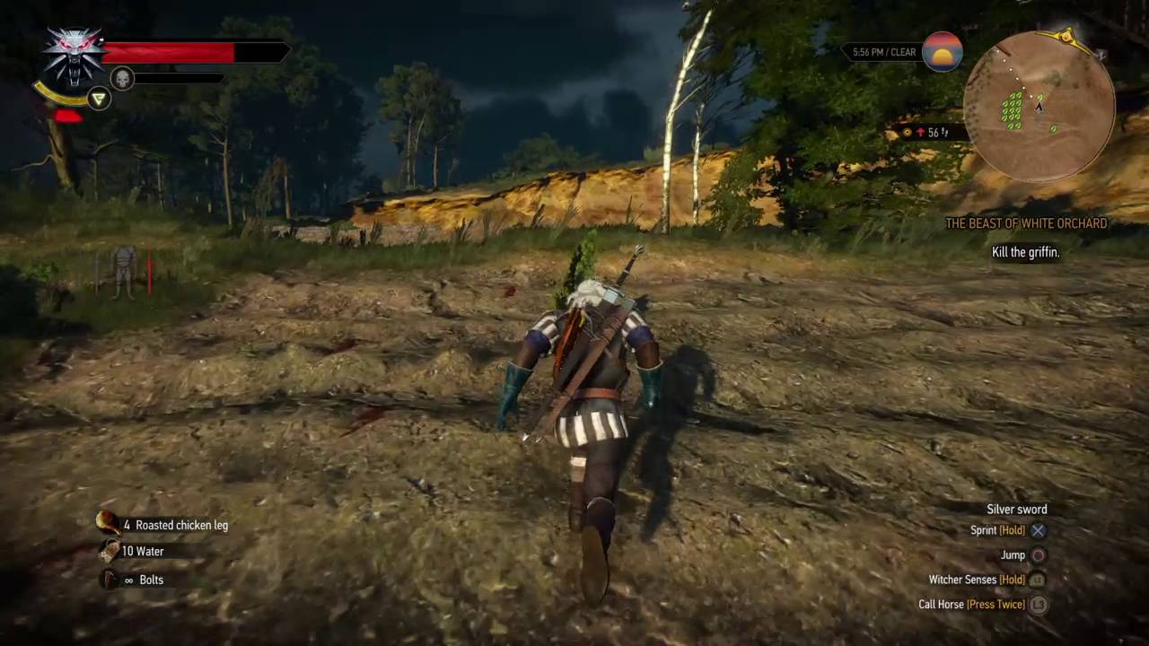 The Witcher 3 Wild Hunt Game of the Year Edition