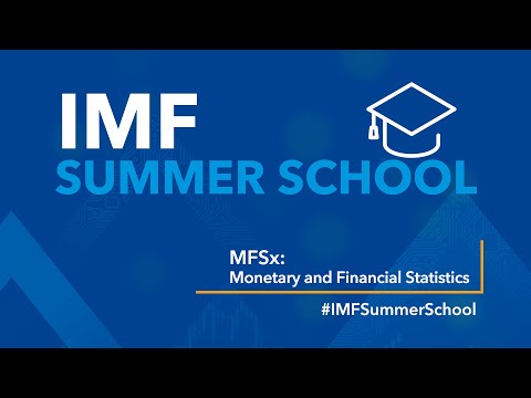 IMF Summer School: