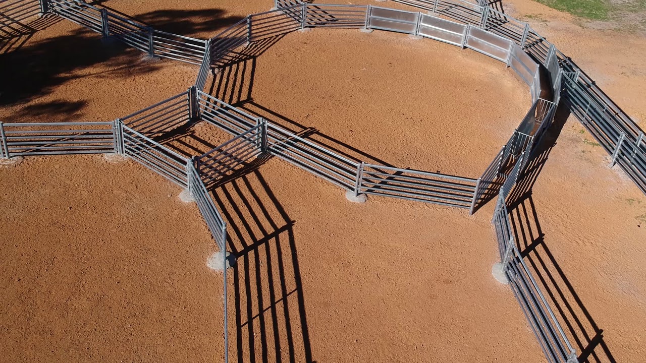 Sheepyards- Karlgarin