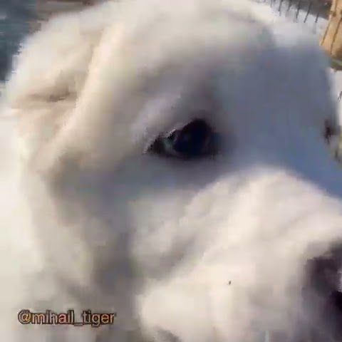 ЭТО ЧЬЁ ПОТОМСТВО? - YouTube