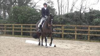 2017 02 05 ECCTG Eventer's Dressage BE Novice 112