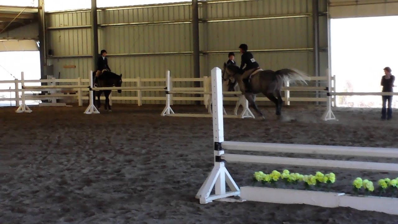 Little Egypt first horse show