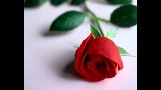 7Abitaha 9Oulou Lommaliha