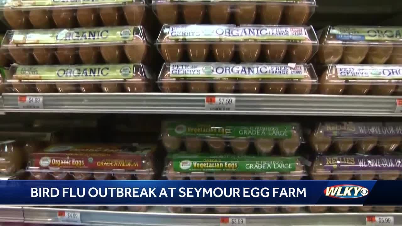 Bakeries hit by soaring egg prices amid bird flu outbreak at southern ...