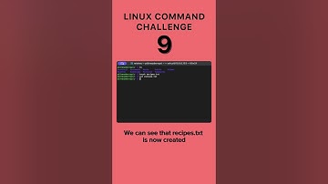 Level 9 - Linux Command Challenge #linux #macos #cmd #terminal #learning #challenge #challengeshorts