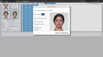 Create an animated gif