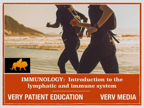 VERY PATIENT EDUCATION:  Introduction to the  Lymphatic and Immune Systems