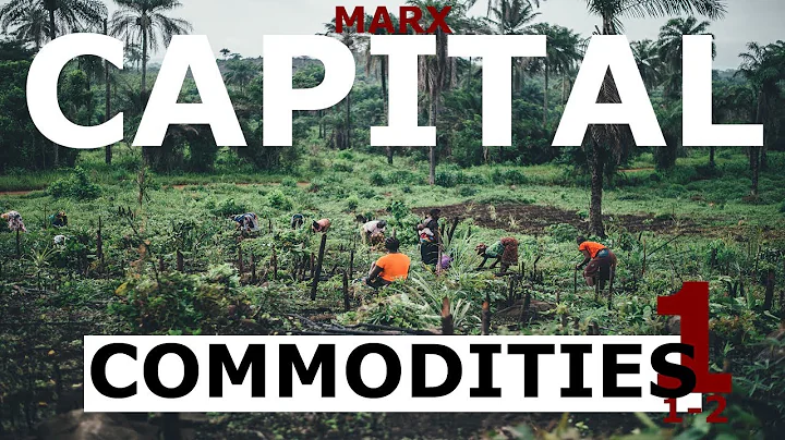 Understanding Marx's Capital Volume 1 Chapter 1 - Commodities (Sections 1-2) - DayDayNews