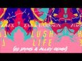 Zara Larsson - Lush Life (DJ Jayms & Alley Remix)