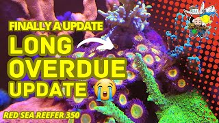 Mystery Unraveled: Temp Spike, MXM Module, and a Clownfish Surprise in Long Overdue Update