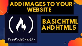 Basic HTML and HTML5: Add Images to Your Website freecodecamp | How to use image tag in html |Hindi