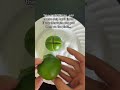 Ritual to Get Rid of Bad Energies, Evil Eye or Witchcraft