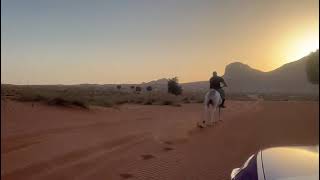 Horse riding in Melha Sharjah