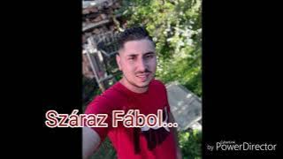 Sós Norby- Száraz fábol 2019