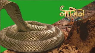 Naagin Season 6 | Pratha Snake Animations | On Green Screen naagin 6| Part 3 | Volume 2 By ZQs Edits