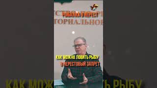 Именно в этом основной смысл моих видео о рыбалке Рыбалка Рыбоохрана и Нерест #shorts