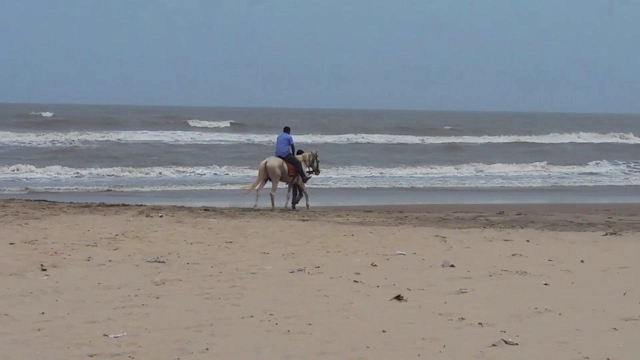 antarvedhi beach and light house
