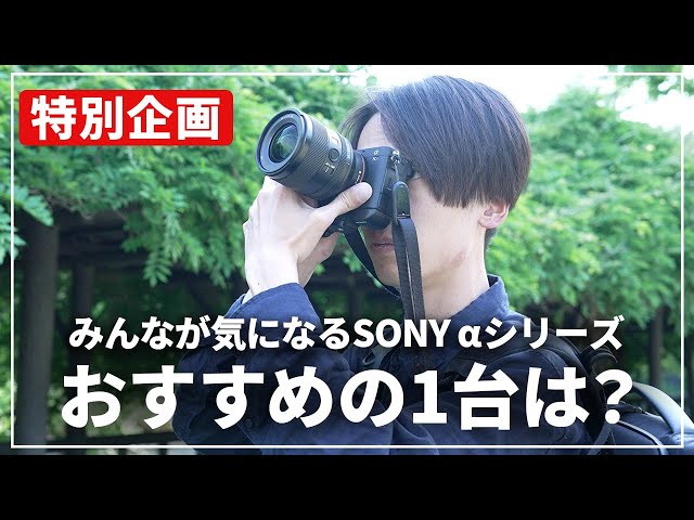 CANON SONY 一眼レフ カメラ 2台まとめて sony_canon-08-1024x538.png