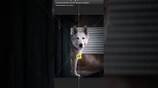How to add EXIF Data to your Instagram Posts