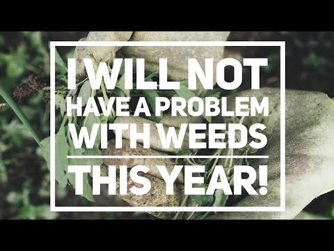 Changing Your Perspective on Weeds