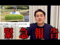 ヒカルさんが取り上げたお米問題深刻すぎるので、決意しました
