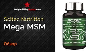 Scitec Nutrition | Mega MSM | Результат от применения | Эффективность | Обзор | Стоит ли покупать