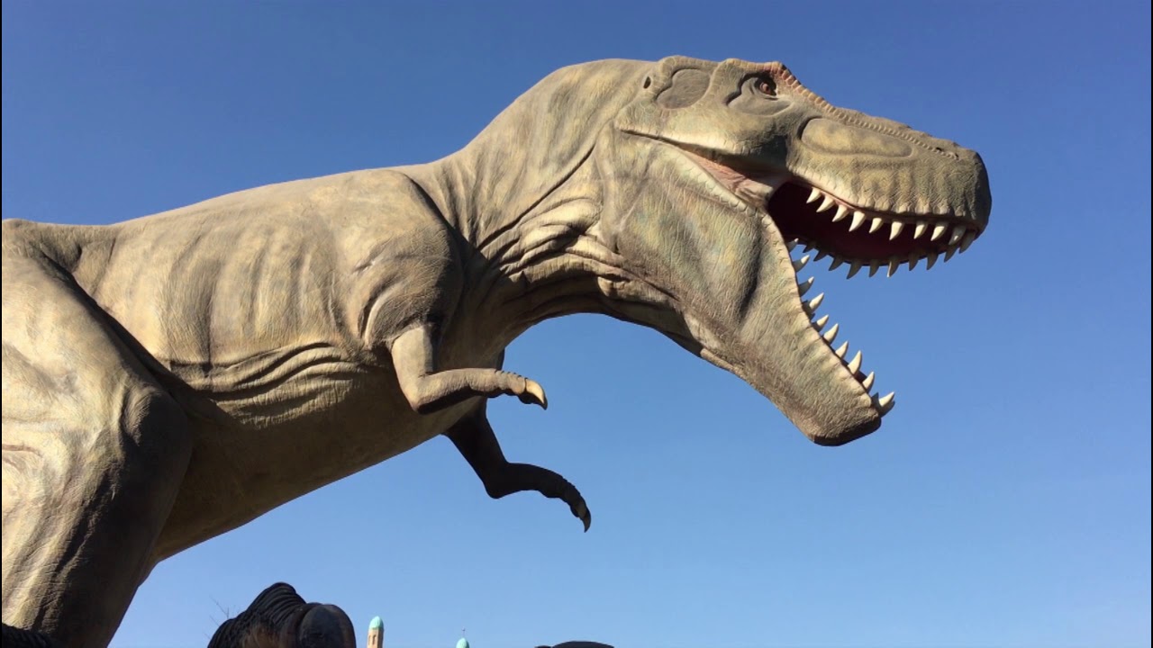 ankapark dinozorlar youtube