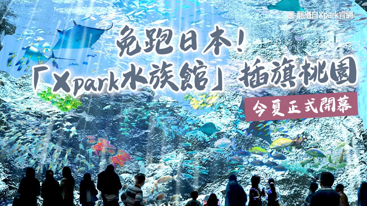 免跑日本 4500坪 Xpark水族館 插旗桃園今夏正式開幕 Youtube