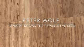 Péter Wolf: Nobody knows the trouble I‘ve see