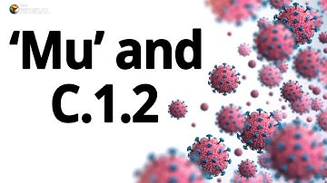 Everything you need to know about the two new COVID-19 variants | The Federal