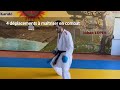 Karat kumite  4 dplacements  matriser en combat karat comptition agilit