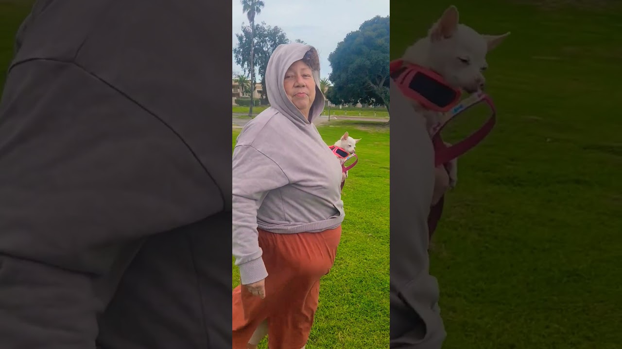 our time here has come to an end and we are getting more kix 