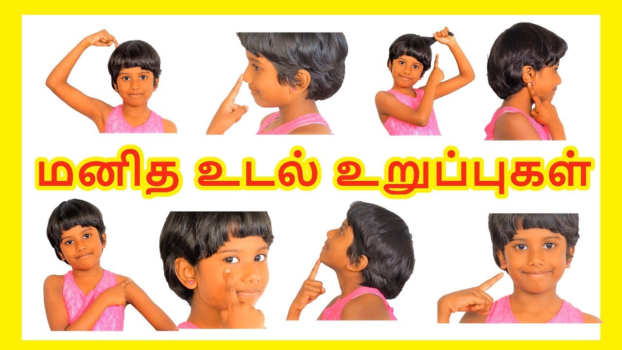 Body Parts Tamil : Learn Samskritam (Sanskrit) through Tamil/Parts of