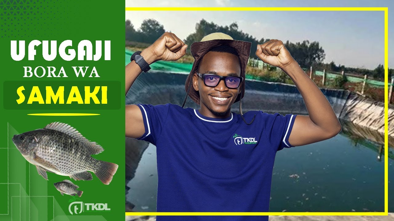 MAMBO MUHIMU, UFUGAJI WA SAMAKI